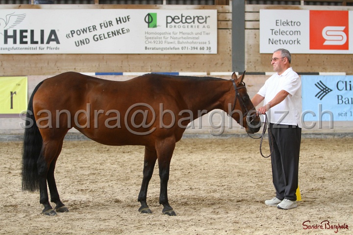 24-ApHC HIH_020.jpg